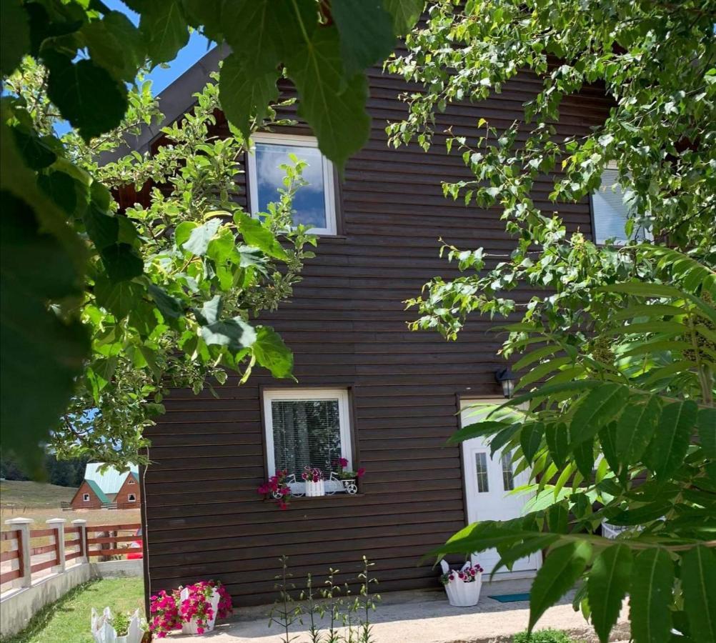 Apartment & Rooms Sweet Dreams Zabljak  Exterior photo